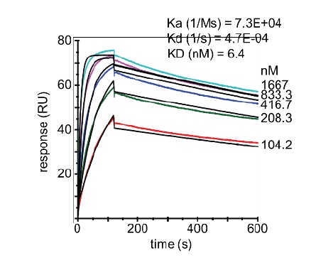 PCSK9 VHH antibody