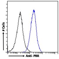 PBR (mouse) Antibody