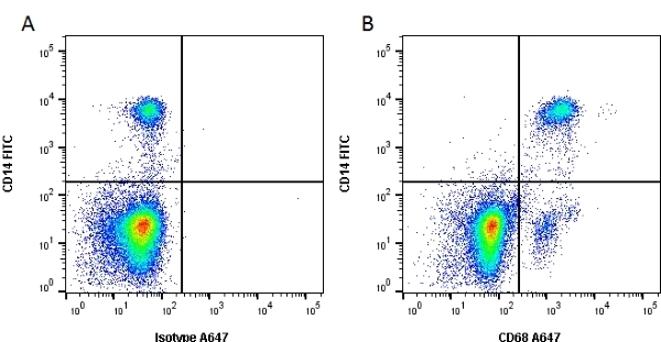 CD68 Antibody (RPE)