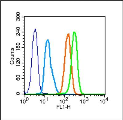 Caveolin-3 Rabbit Polyclonal Antibody (PE)