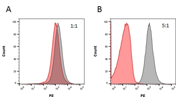 RITUXIMAB Antibody
