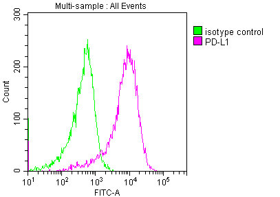 PD-L1 Antibody