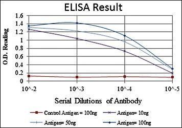 PINCH Antibody
