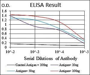 PPP1CA Antibody