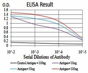 PROM1 Antibody