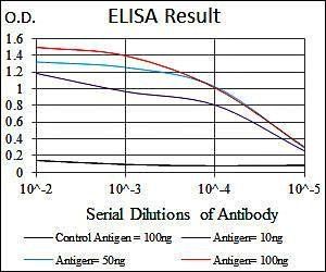 RAB4A Antibody