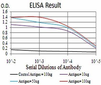 RAD18 Antibody