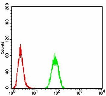 RAD18 Antibody