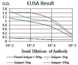 RAP1A Antibody