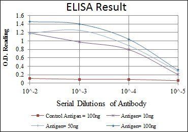 RBP4 Antibody