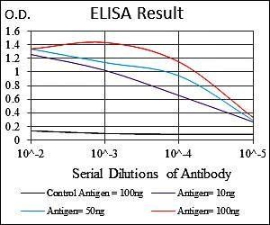 RPS6KB1 Antibody