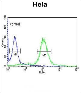 SNURF Antibody (Center)