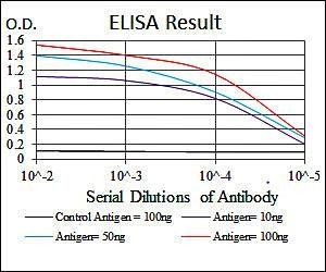 SRC Antibody