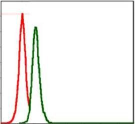 SRC Antibody