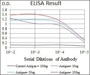 SST Antibody
