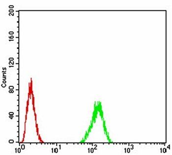 TARDBP Antibody