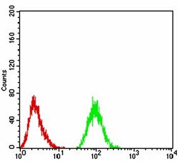 THAP1 Antibody