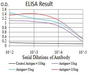TLR9 Antibody