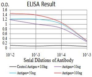 TRAF2 Antibody