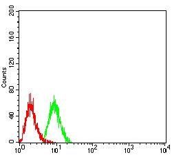 TRAF2 Antibody