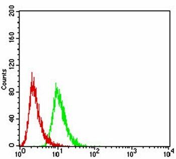 VEGFA Antibody