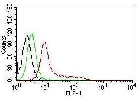 XRCC6 Antibody