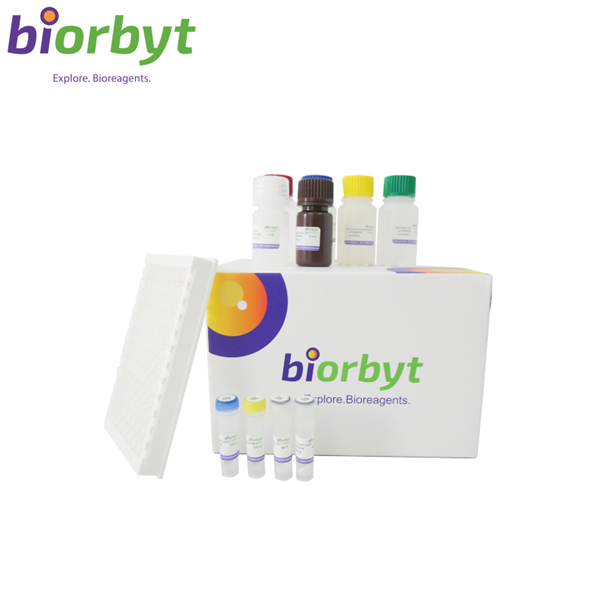 Chicken OVM/OVA (Ovomucoid/Ovalbumin) ELISA Kit