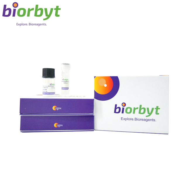 Recombinant Mouse IL-10