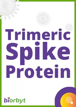 Trimeric Spike Protein documentation