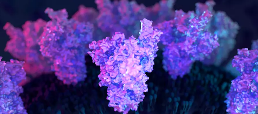 Variant Spike Proteins Background