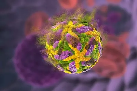 Visualization of the Zika Virus